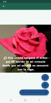 Frases de amor y amistad android App screenshot 1