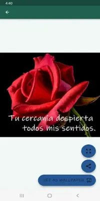 Frases de amor y amistad android App screenshot 7